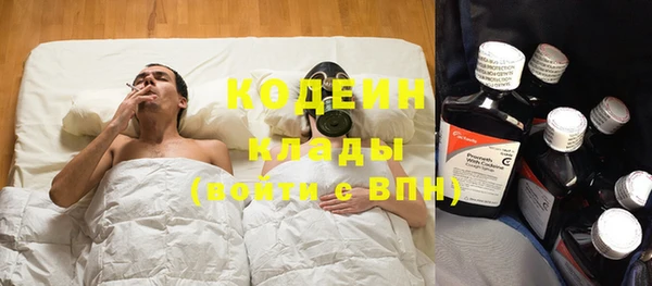 индика Верхний Тагил