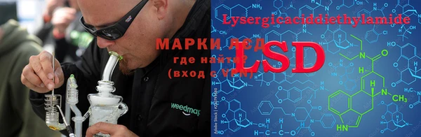 дживик Пересвет
