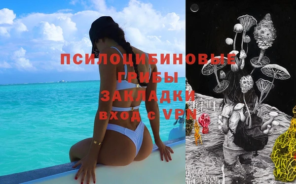 гашик Переславль-Залесский