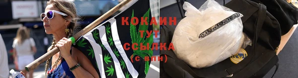 дживик Пересвет