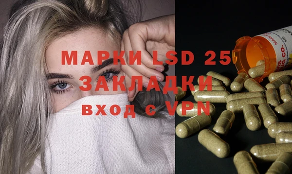 PSILOCYBIN Верея