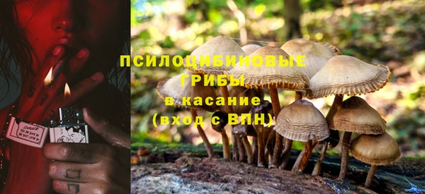 PSILOCYBIN Верея