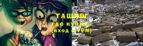 индика Верхний Тагил
