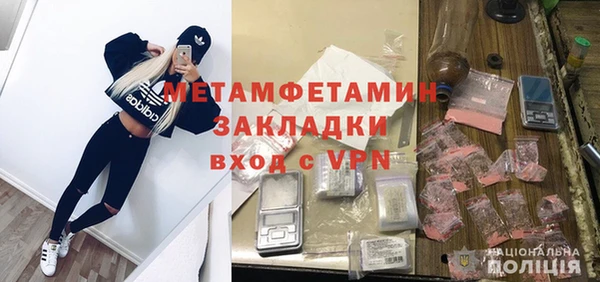 индика Верхний Тагил