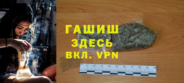 индика Верхний Тагил